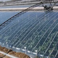 Film de Serre PO Haute Transparence Anti-Condensation