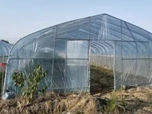 Film de couverture agricole PVC