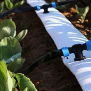 Avantages des Gaines Plates Pré-perforées